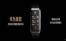 华为首款支持血压测量的手表曝光