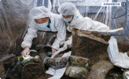 考古人员认定三星堆部分祭祀坑埋藏年代为商代晚期