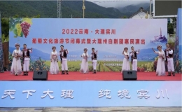 2022云南•大理宾川葡萄文化旅游节圆满落幕