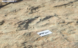 ​张家口市宣化区发现了9000多平方米的恐龙足迹化石点