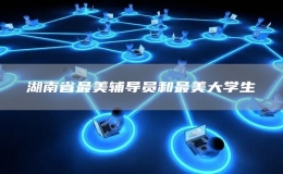 湖南省最美辅导员和最美大学生