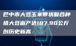 巴中市大豆玉米带状复合种植大豆亩产达187.90公斤 创历史新高