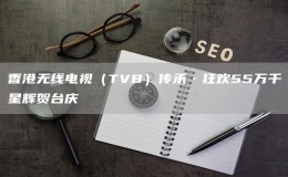 香港无线电视（TVB）传承·狂欢55万千星辉贺台庆