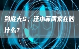 到底大S、汪小菲两家在吵什么？