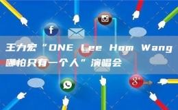 王力宏“ONE Lee Hom Wang哪怕只有一个人”演唱会