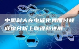 中国科大在电催化界面过程成像分析上取得新进展