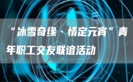 “冰雪奇缘·情定元宵”青年职工交友联谊活动