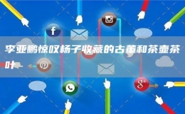 李亚鹏惊叹杨子收藏的古董和茶壶茶叶