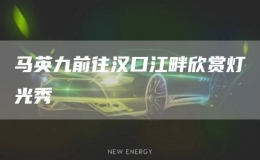 马英九前往汉口江畔欣赏灯光秀