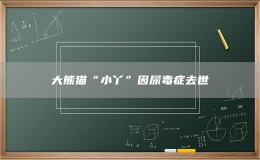 大熊猫“小丫”因尿毒症去世