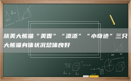 旅美大熊猫“美香”“添添”“小奇迹”三只大熊猫身体状况总体良好