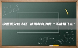 李亚鹏欠债未还 被限制高消费“不能搭飞机”