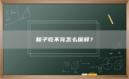 粽子吃不完怎么保鲜？