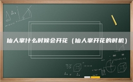 仙人掌什么时候会开花（仙人掌开花的时机）