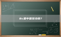 8c是中国多少码？