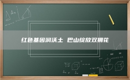 红色基因润沃土 巴山绽放双拥花
