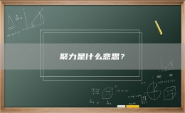 聚力是什么意思？