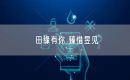 田缘有你 臻惜昱见