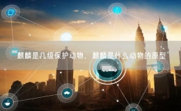 麒麟是几级保护动物，麒麟是什么动物的原型