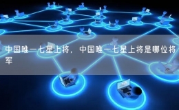 中国唯一七星上将，中国唯一七星上将是哪位将军