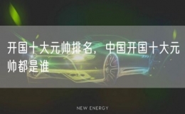 开国十大元帅排名，中国开国十大元帅都是谁