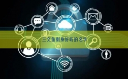 三文鱼刺身好听的名字