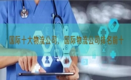 国际十大物流公司，国际物流公司排名前十