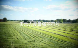 表示力度最强的符号