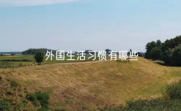 外国生活习惯有哪些（步骤外国人的日常生活）