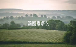 汤圆煮多久（烹饪汤圆的时间）