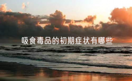 吸食毒品的初期症状有哪些（警惕毒品的危害）