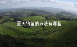 夏天钓鱼的方法有哪些（夏季钓鱼方法大全）