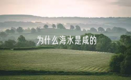 为什么海水是咸的（海水为何是咸的）