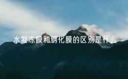 水凝冻膜和钢化膜的区别是什么？