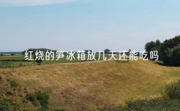 红烧的笋冰箱放几天还能吃吗？