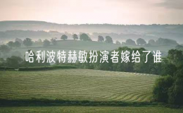 哈利波特赫敏扮演者嫁给了谁？