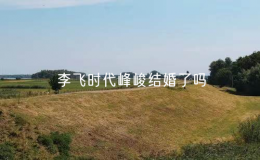李飞时代峰峻结婚了吗？