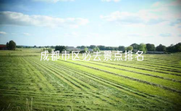 成都市区必去景点排名，成都旅游景点大全