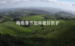 梅雨季节如何做好防护（梅雨季节的注意事项）