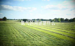 氮气的用途是什么（氮气的多种用途概述）