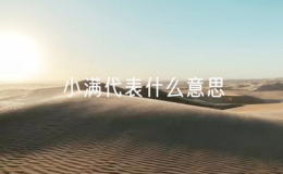 小满代表什么意思（小满是代表什么）