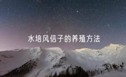 水培风信子的养殖方法（掌握水培风信子的栽培方法）