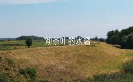 沏茶叶的水温（沏茶的方法与温度控制）
