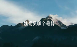 魏蜀吴哪个最弱（魏蜀吴三国实力对比）