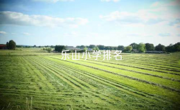 乐山小学排名（乐山市重点小学名单）
