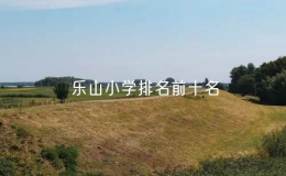 乐山小学排名前十名，乐山市小学排名一览表