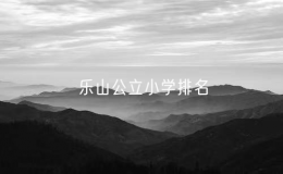 乐山公立小学排名（乐山市哪个小学比较好）