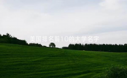 美国排名前10的大学名字（美国10大名校）