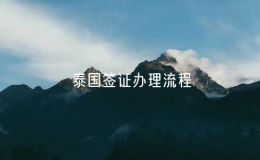 泰国签证办理流程（怎样办泰国签证手续）