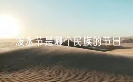 泼水节是哪个民族的节日（泼水节是哪个民族的节日风俗）